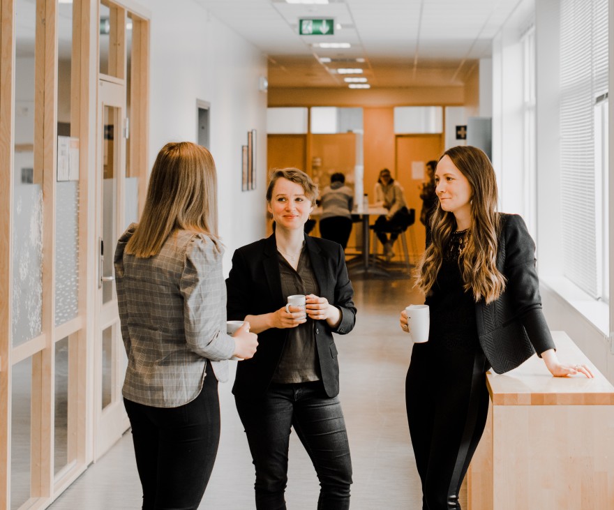 Illustrašuvdnagovva. Govven: Ánne Kátjá Gaup/Johtti Productions.