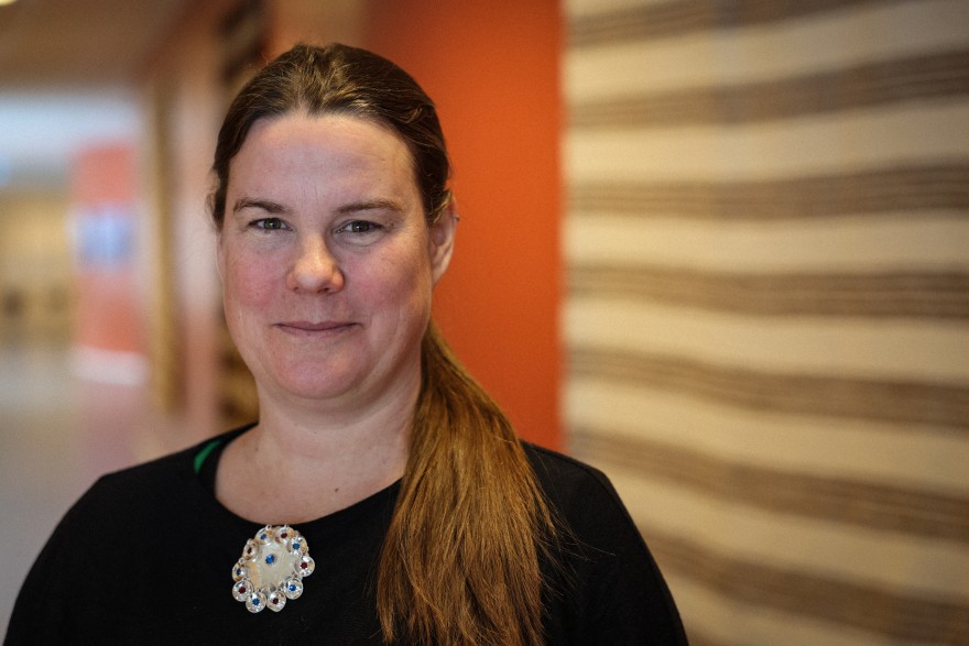 Nissonolmmoš čáhppes báidi ja silba risku badjelis.