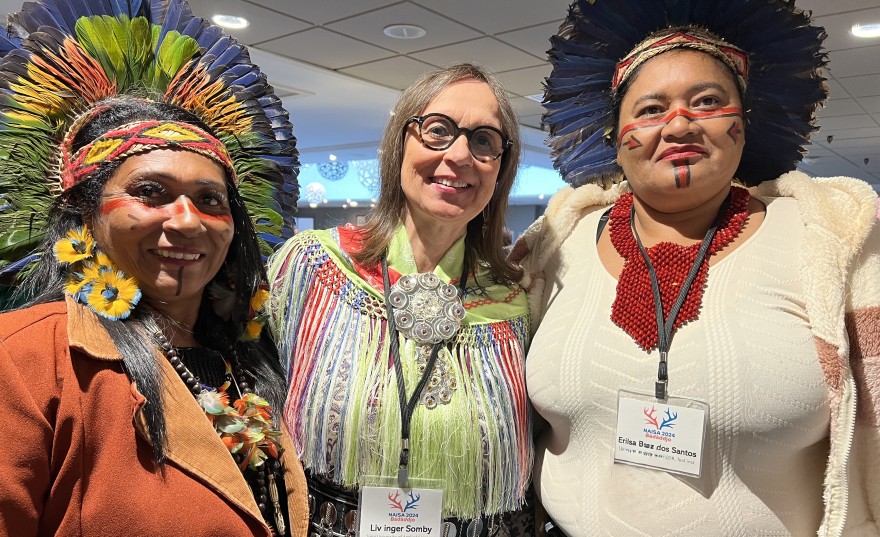 Sámi allaskuvlla rektor searvvai NAISA2024 dutkankonferánsii.