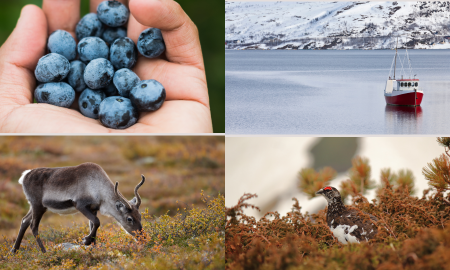 muorjit, boazu, rievssat, fanas